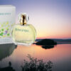 A bottle of perfume sitting on top of a body of water.