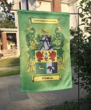 A green flag with a picture of a horse and a dog on it.