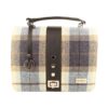 A blue and white plaid purse with black leather strap.