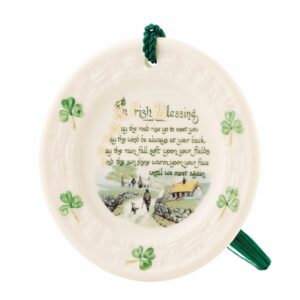 A plate with the words " irish blessing ".