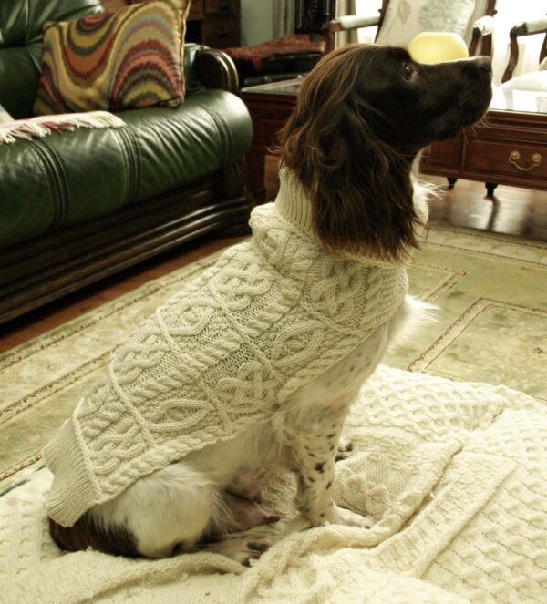 Merino Wool Dog Coat R4523 - White - Image 2
