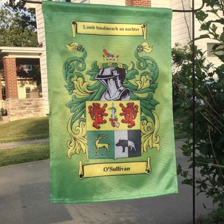 A green flag with a picture of a horse and a dog on it.