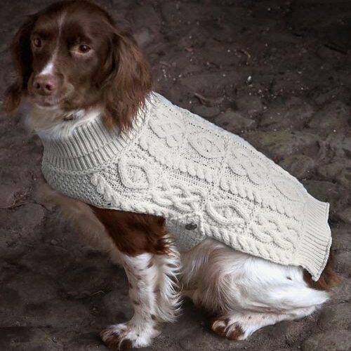 MERINO WOOL DOG COAT R4523 - White
